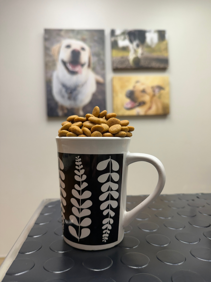 Dog food in a cup